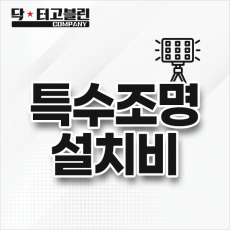 특수조명 설치비