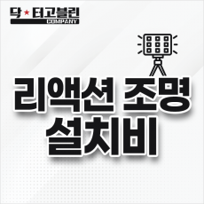 리액션 조명 설치비